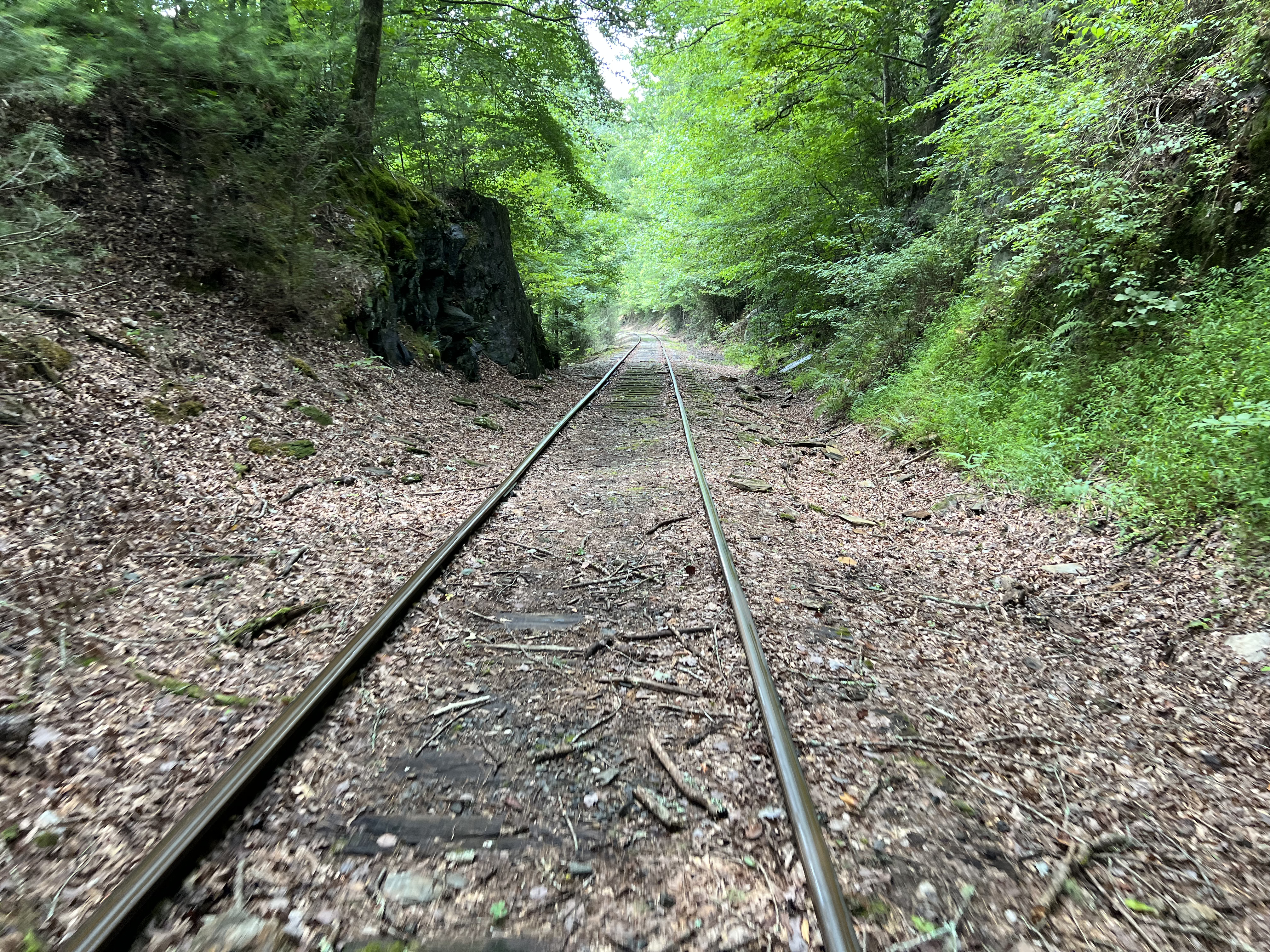 ./2023/11 - Asheville/IMG_9890.jpg